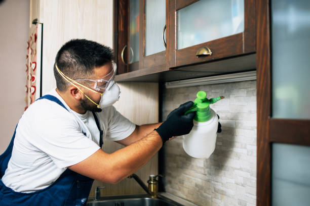 Best Flea Control Services  in Crainvle, IL