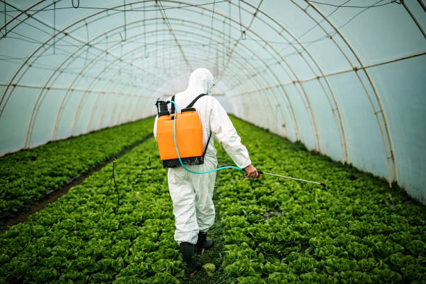 Best Pest Inspection Near Me  in Crainvle, IL