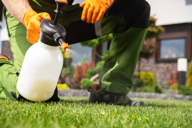 Best Emergency Pest Control  in Crainvle, IL