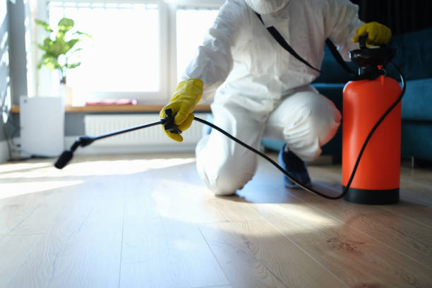 Professional Pest Control in Crainville, IL