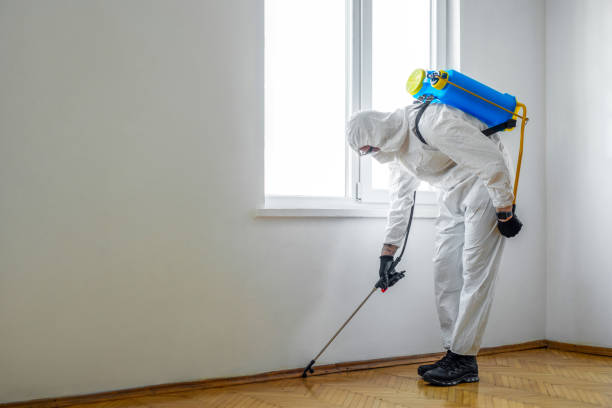Best Cockroach Control Services  in Crainvle, IL