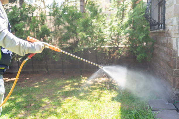 Best Affordable Pest Control Services  in Crainvle, IL