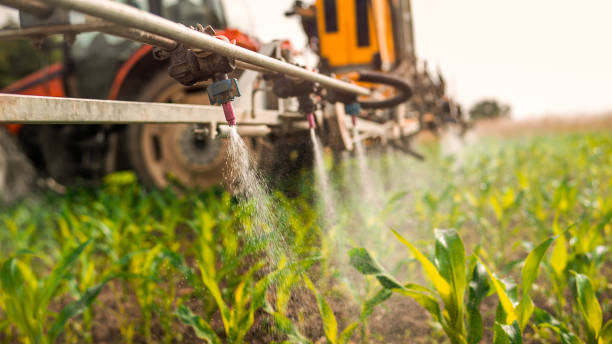 Pest Control Cost in Crainville, IL